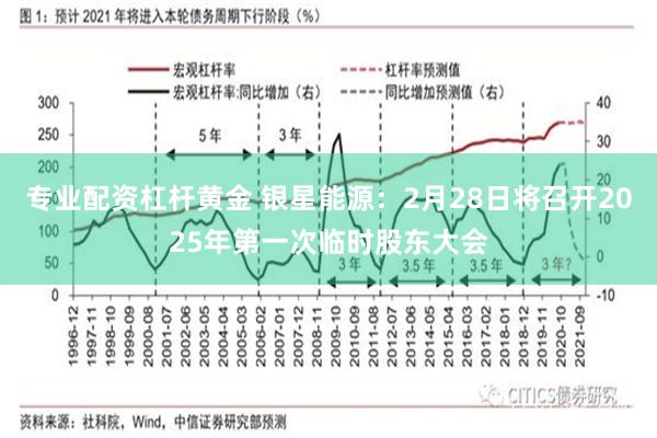 专业配资杠杆黄金 银星能源：2月28日将召开2025年第一次临时股东大会