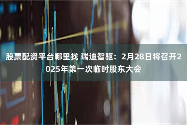 股票配资平台哪里找 瑞迪智驱：2月28日将召开2025年第一次临时股东大会