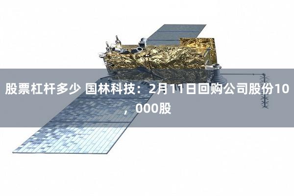 股票杠杆多少 国林科技：2月11日回购公司股份10，000股