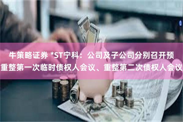 牛策略证券 *ST宁科：公司及子公司分别召开预重整第一次临时债权人会议、重整第二次债权人会议