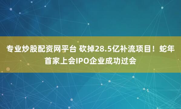 专业炒股配资网平台 砍掉28.5亿补流项目！蛇年首家上会IPO企业成功过会