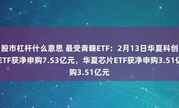 股市杠杆什么意思 最受青睐ETF：2月13日华夏科创50ETF获净申购7.53亿元，华夏芯片ETF获净申购3.51亿元