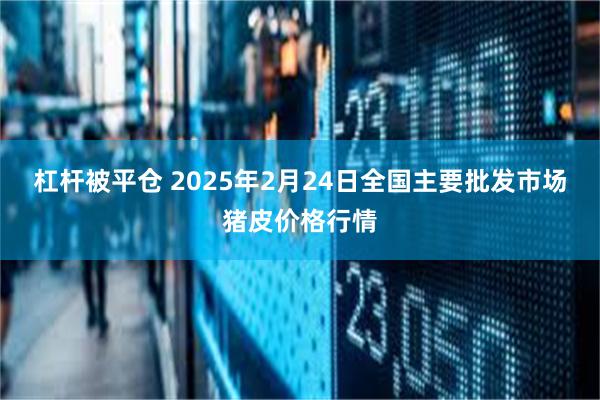 杠杆被平仓 2025年2月24日全国主要批发市场猪皮价格行情